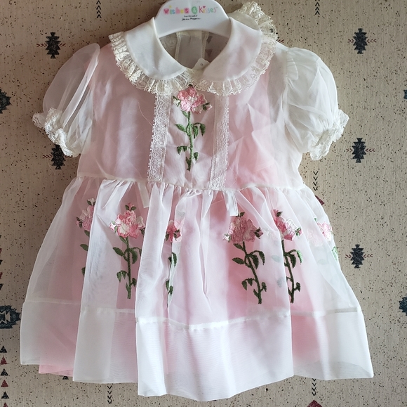Other - Vintage rose detail lace sheer baby dress